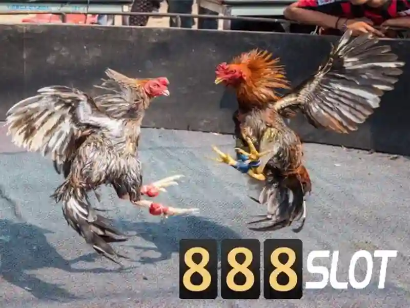 💎đánh bạc công nghệ cao💎 💎đánh bạc công nghệ cao💎