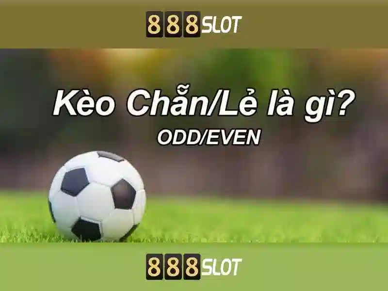 💎cước câu cá xịn💎 💎cước câu cá xịn💎