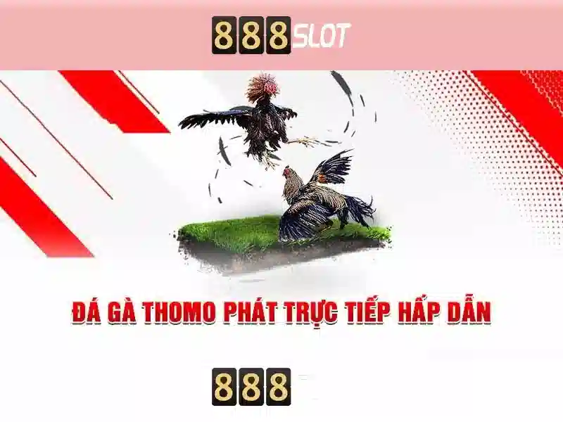 💎nha cai tang tien 789💎 💎nha cai tang tien 789💎