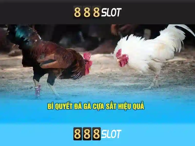 💎ae888 nhà cái uy tín💎 💎ae888 nhà cái uy tín💎