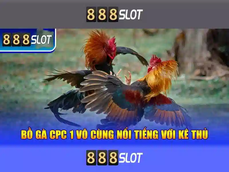 💎kèo nhà cái châu á world cup💎 💎kèo nhà cái châu á world cup💎