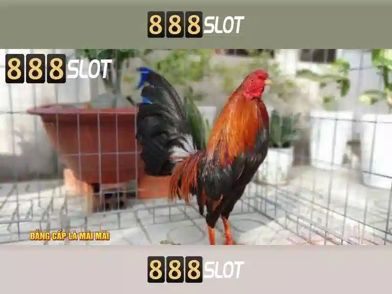 💎platinum toto slot💎 💎platinum toto slot💎