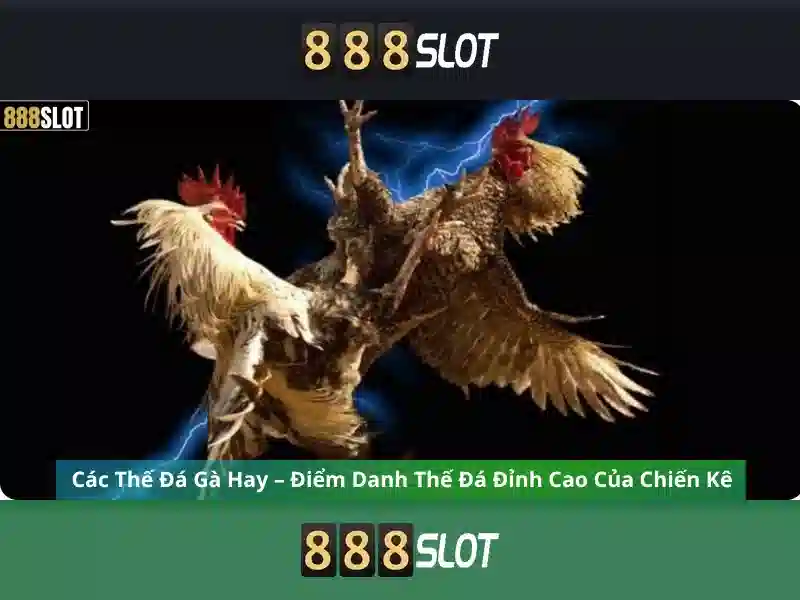 💎xem cả cược bóng đá ngày mai💎 💎xem cả cược bóng đá ngày mai💎