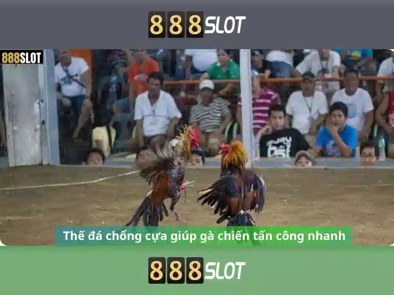 💎cai tao nha ha noi💎 💎cai tao nha ha noi💎