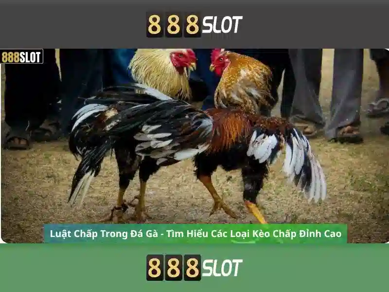 💎skillmine slots for free💎 💎skillmine slots for free💎