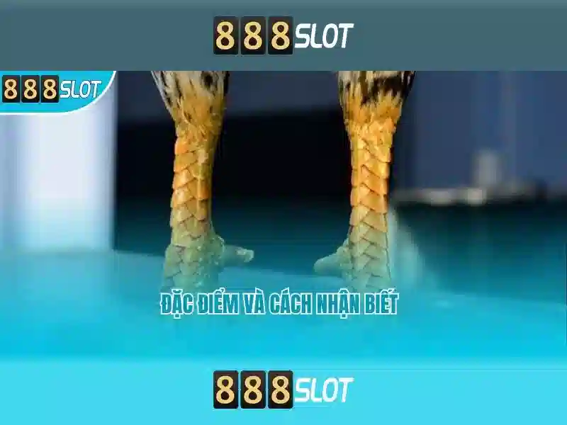 💎las vegas best slots on the strip💎 💎las vegas best slots on the strip💎