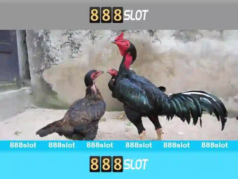 💎tổ chức cá cược có bị án💎 💎tổ chức cá cược có bị án💎