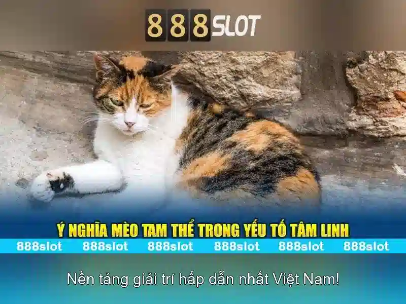 💎tội đánh bạc trên 50 triệu💎 💎tội đánh bạc trên 50 triệu💎