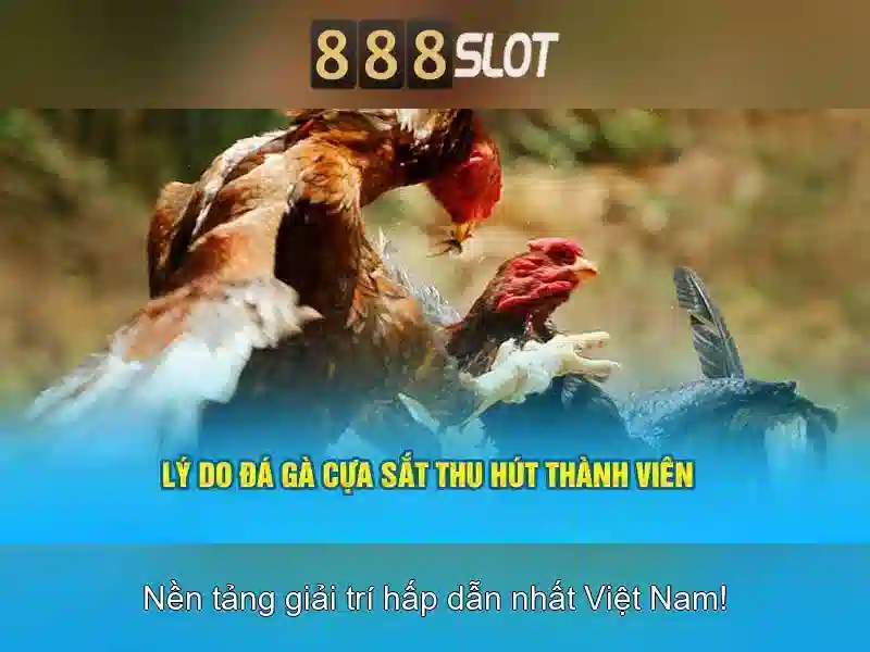 💎trang cá cược bóng đá club💎 💎trang cá cược bóng đá club💎