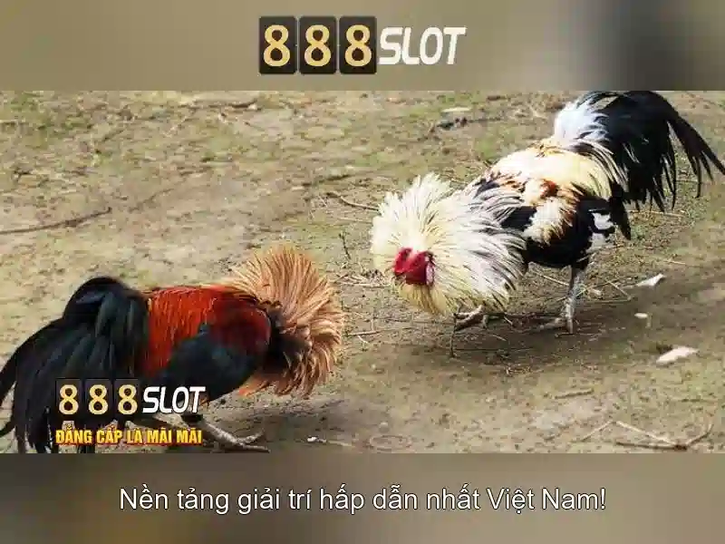 💎cá cược trực tuyến winchestermass💎 💎cá cược trực tuyến winchestermass💎