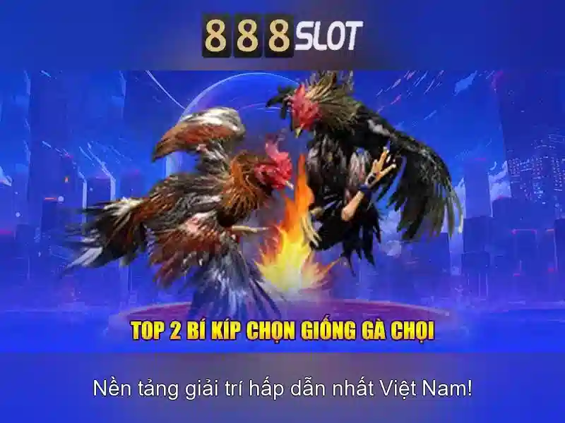 💎nhà cái km 2023💎 💎nhà cái km 2023💎