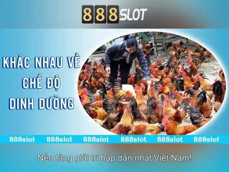 💎agen slot 888💎 - 888 slot 888 slot - slot world 888 💎agen slot 888💎 - 888 slot 888 slot - slot world 888