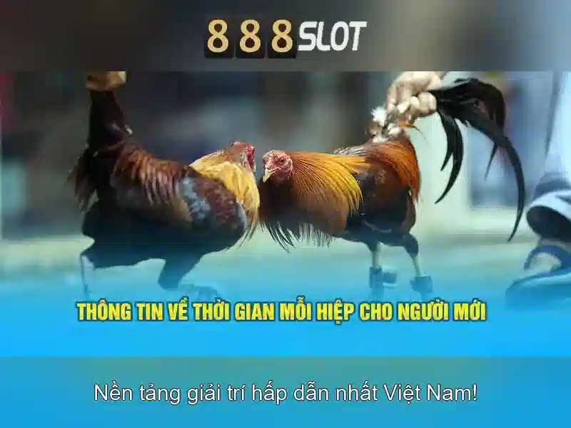 💎mức án tội đánh bạc💎 💎mức án tội đánh bạc💎