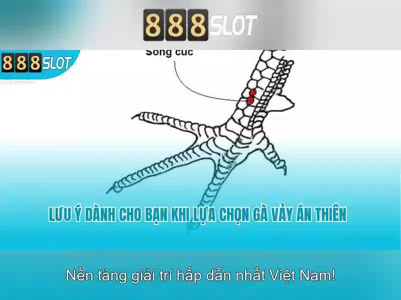 💎ca cuoc 8899💎 💎ca cuoc 8899💎